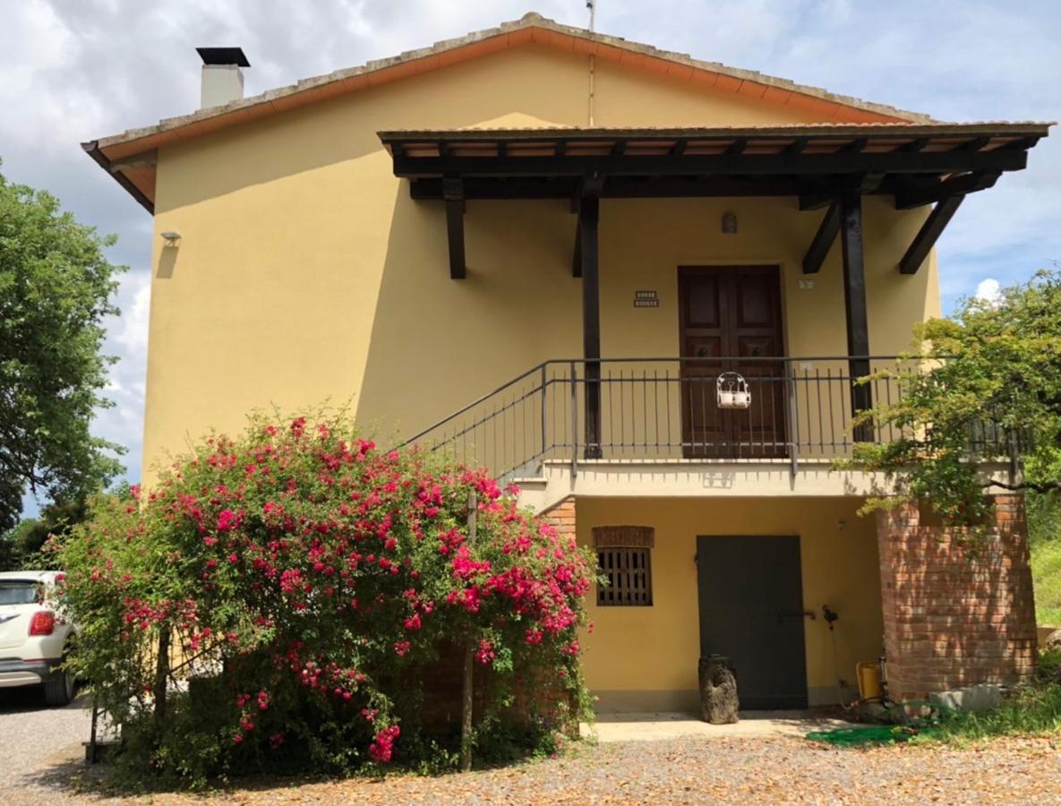 Vakantiehuis Didi House