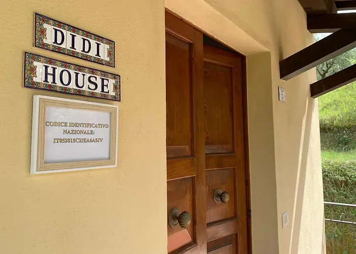 Didi House