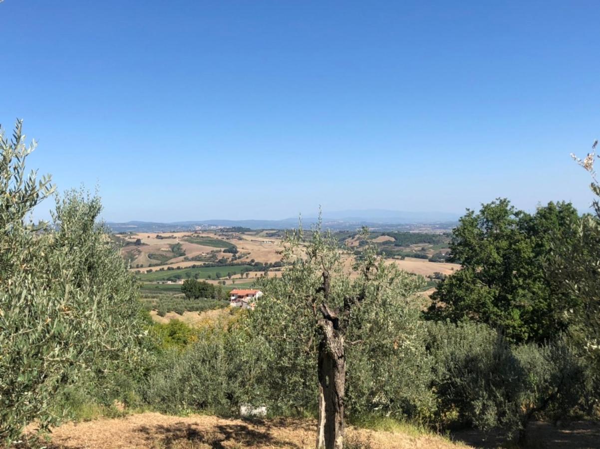 Holiday home Didi House Montepulciano