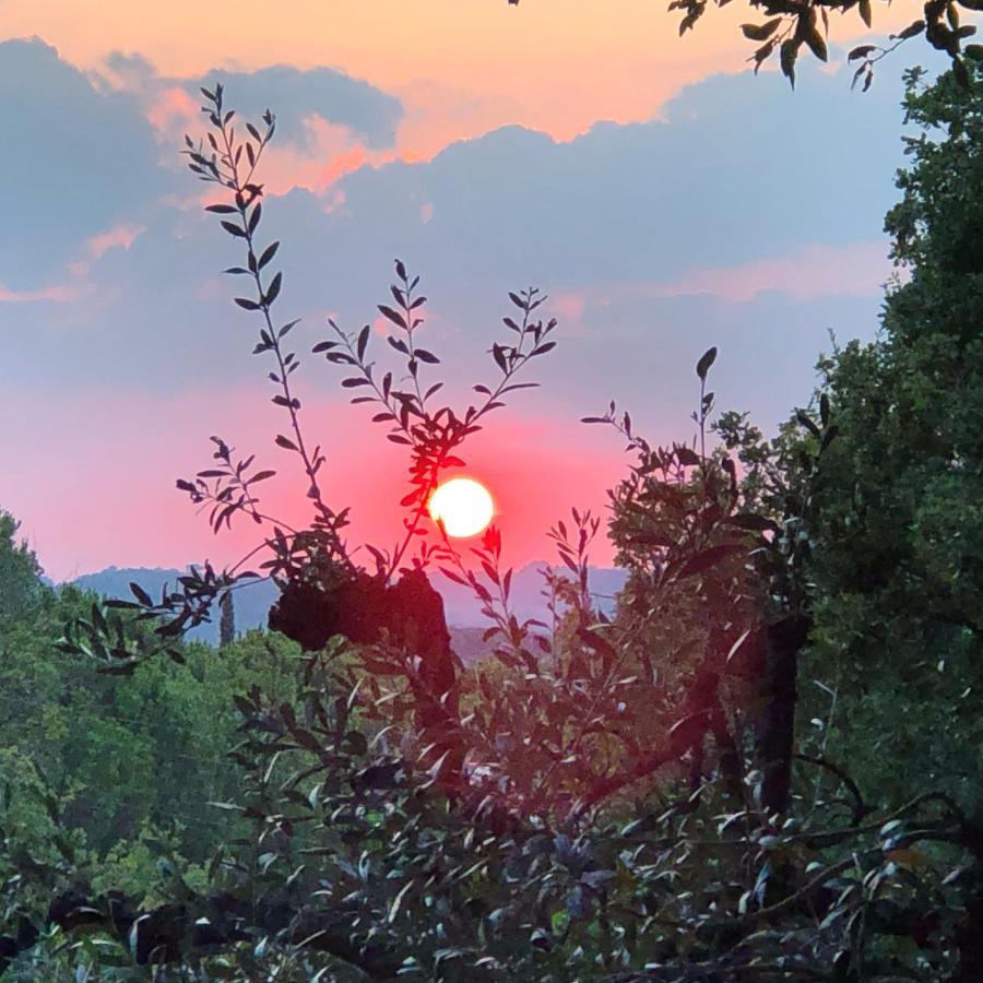 Didi House Holiday home Montepulciano