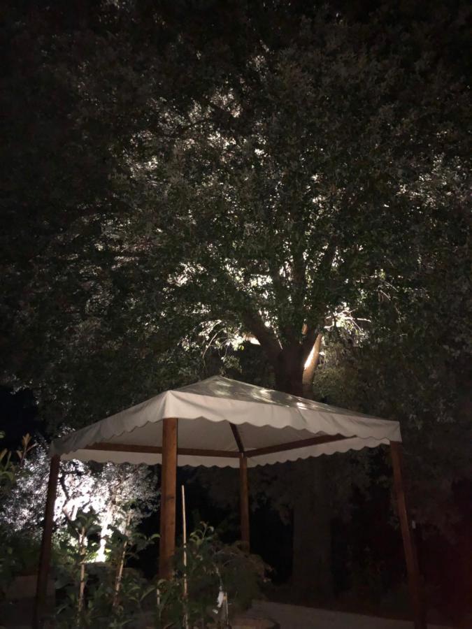 Didi House * Montepulciano Stazione
